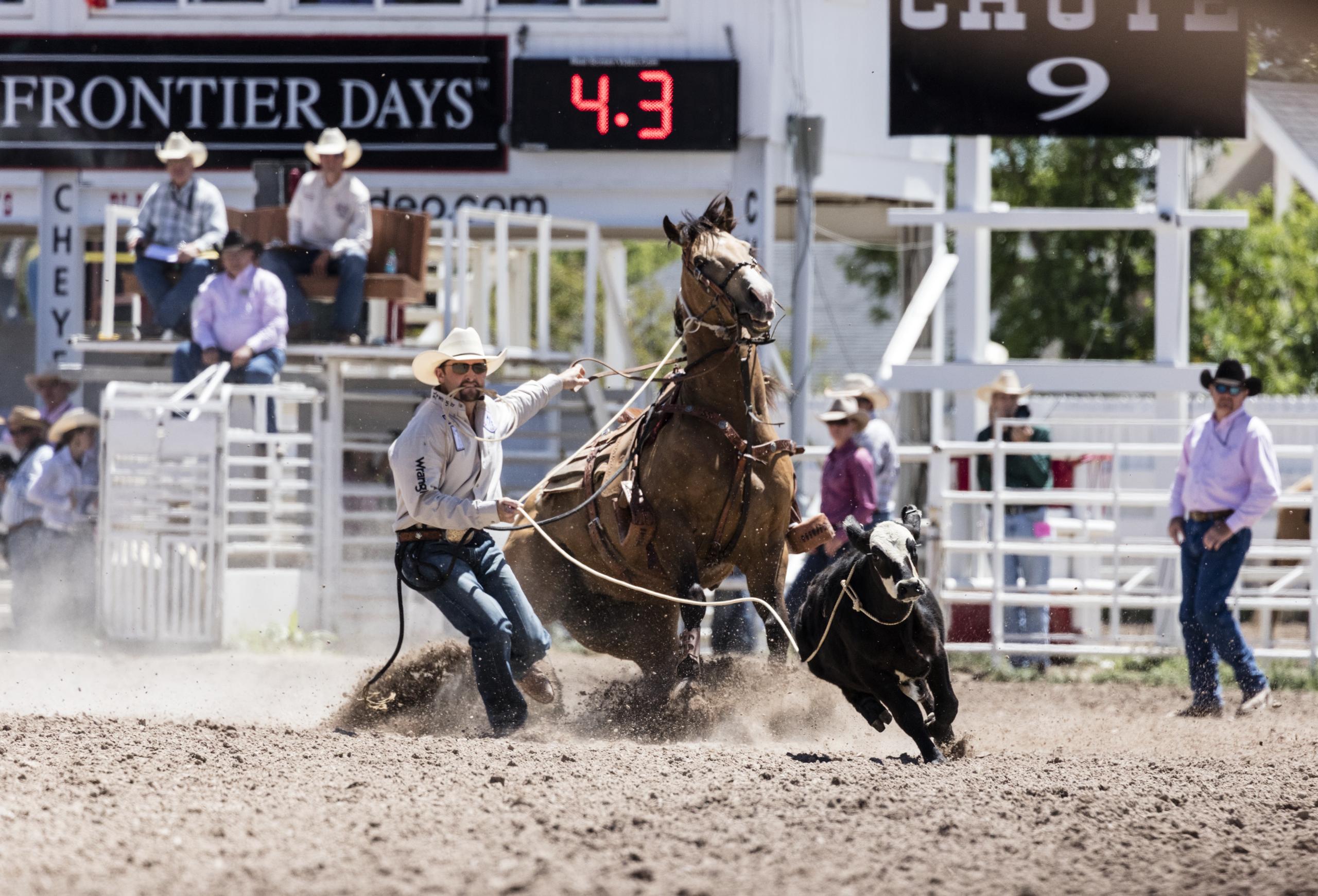 Rodeo action at Cheyenne Frontier Days, 2015