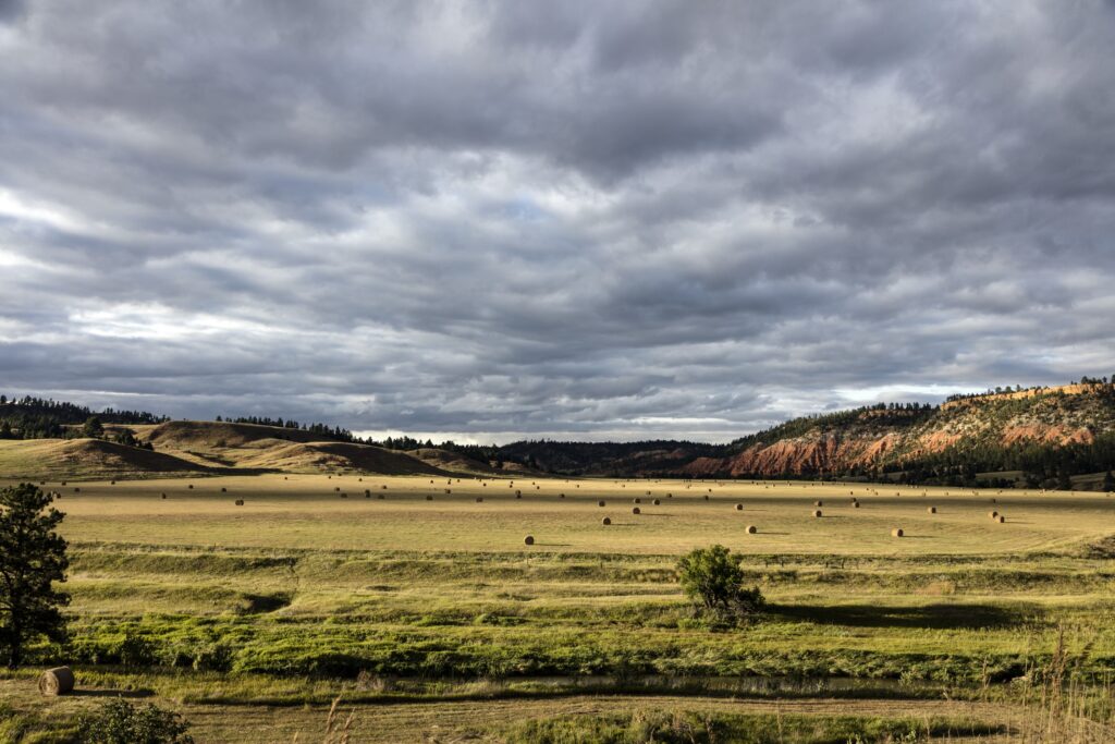 Open pasture and low hills in the Belle Fourche River Valley above Hulett, Wyoming.